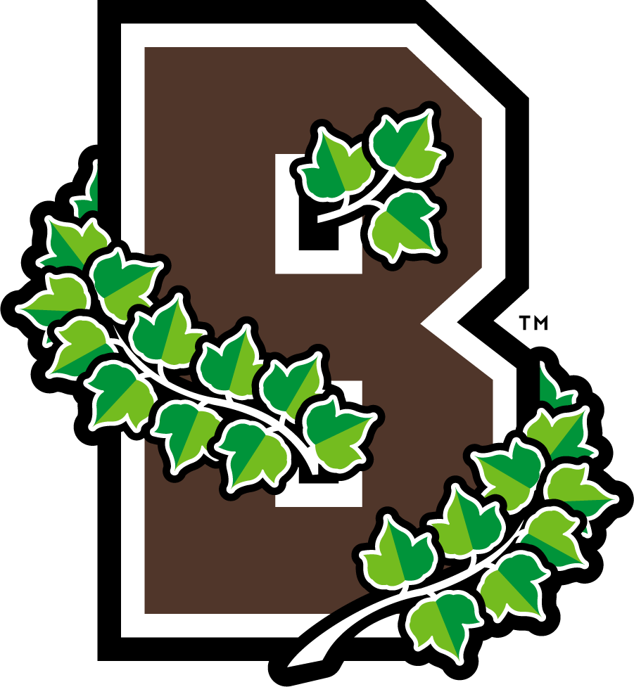 Brown Bears 2013-2018 Secondary Logo diy iron on heat transfer